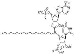 Figure imgf000062_0001
