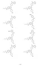 Figure imgf000106_0001