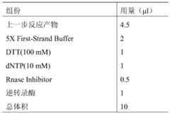 Figure PCTCN2019076697-appb-000011
