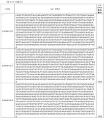 Figure 0007057276000040