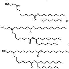 Figure imgf000003_0001