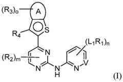 Figure imgf000003_0001