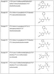 Figure imgf000016_0001