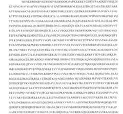 Figure 0007269990000028