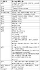 Figure BDA0003765517730000511