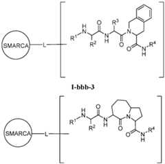 Figure imgf000401_0001