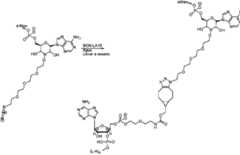 Figure imgf000109_0002