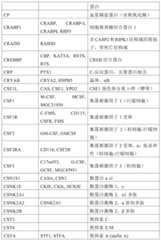 Figure BDA0001878096640000461