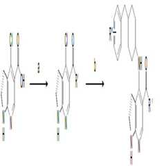 Figure 112017118846628-pat00028