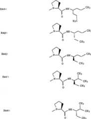 Figure C9619899200271