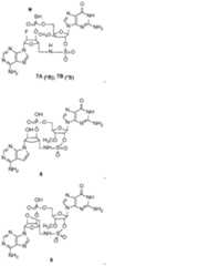 Figure 0007317014000156