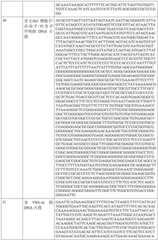 Figure BDA0002317806370000631