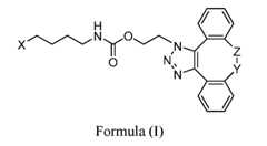 Figure imgf000003_0002