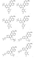 Figure 2025513455000450