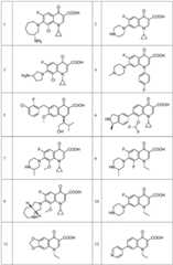 Figure FDA0003852874890000031