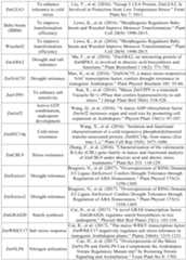 Figure PCTCN2022090268-appb-000043