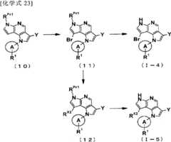 Figure BPA00001446920500291