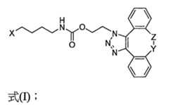 Figure 109130857-A0202-12-0316-362