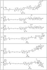 Figure BDA0002889616220001911