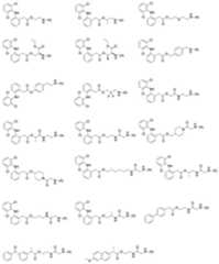 Figure 643246DEST_PATH_IMAGE004