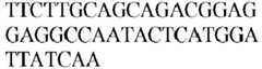 Figure imgb0497
