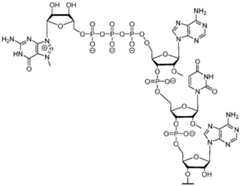 Figure imgf000138_0002