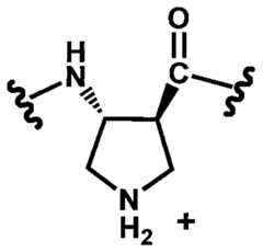 Figure imgf000031_0003