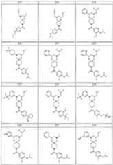 Figure imgf000052_0001