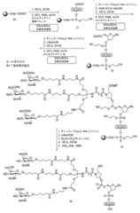 Figure 0007429103000230