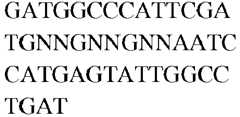 Figure imgb0221