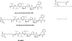 Figure A20048003970602471