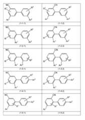 Figure imgf000011_0001