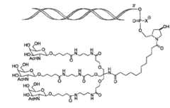 Figure 105140410-A0305-02-0048-13
