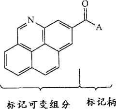 Figure A9719255400231