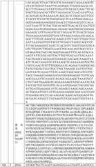 Figure BDA0004033970230007271