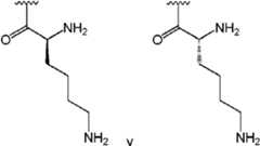 Figure imgf000024_0001
