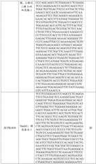 Figure BDA0002572923940000721