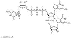 Figure imgf000171_0001