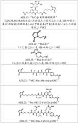 Figure BDA0002808063770002801