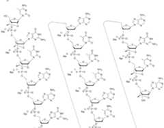 Figure imgf000022_0001