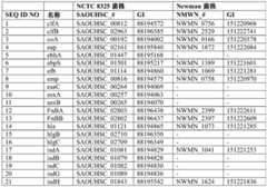 Figure BDA0001722187940001621