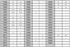 Figure imgf000109_0001