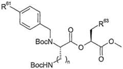Figure imgf000039_0002
