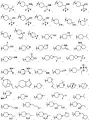 Figure FDA0003181678060000021