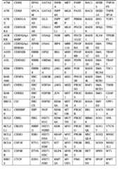 Figure 2022505647000019