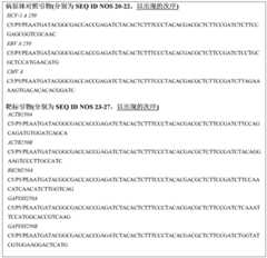 Figure BDA0002117476820001151