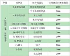 Figure GDA0002799618030000081