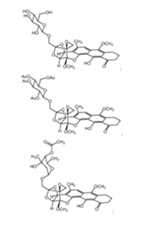 Figure imgf000244_0001