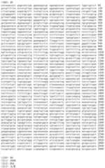 Figure IDA00002091897100611