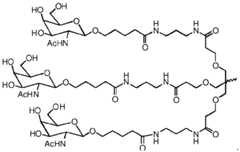 Figure imgf000011_0001
